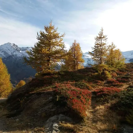 Bambi Appartement-fewo 6-bettwohnung Nr- 1 By Interhome Appartement Saas-Fee
